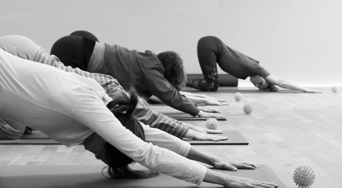 Osteopathisches Faszientraining - Kursleiterausbildung